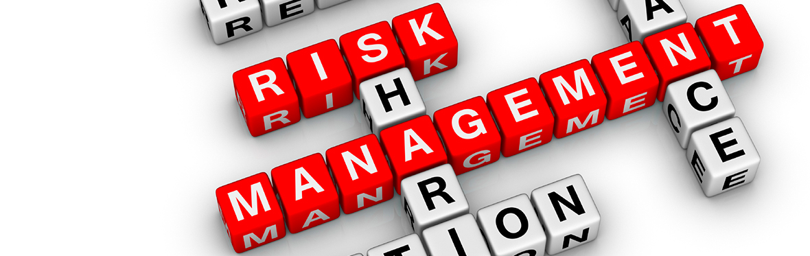 risk management